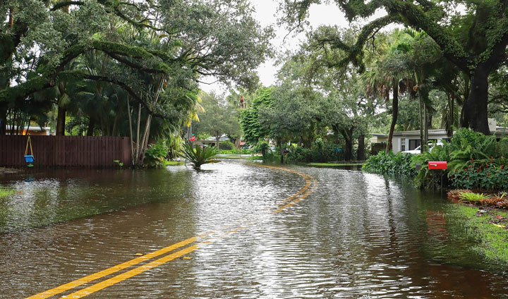 flood insurance tips